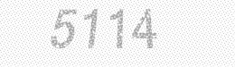 Visual security code — type the characters shown in the image